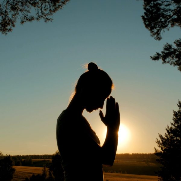 Silhouette of young woman praying in forest at sunset. Sunset light, sun lens flares, golden hour. Religion, spiritual and nature concept
